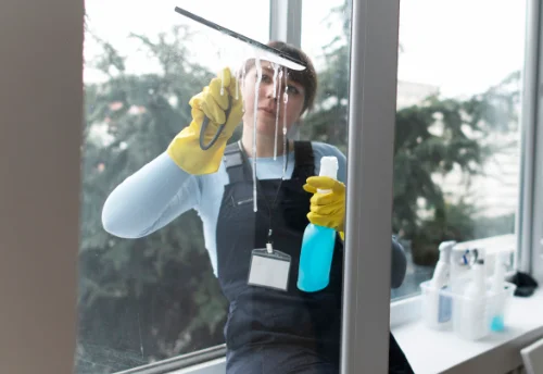Nettoyage de vitres intérieures et extérieures à Allery
